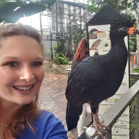 Meet your Posher, Megan - Picture 1 of 1